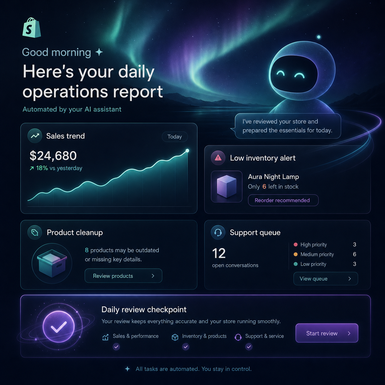Daily Shopify operations report