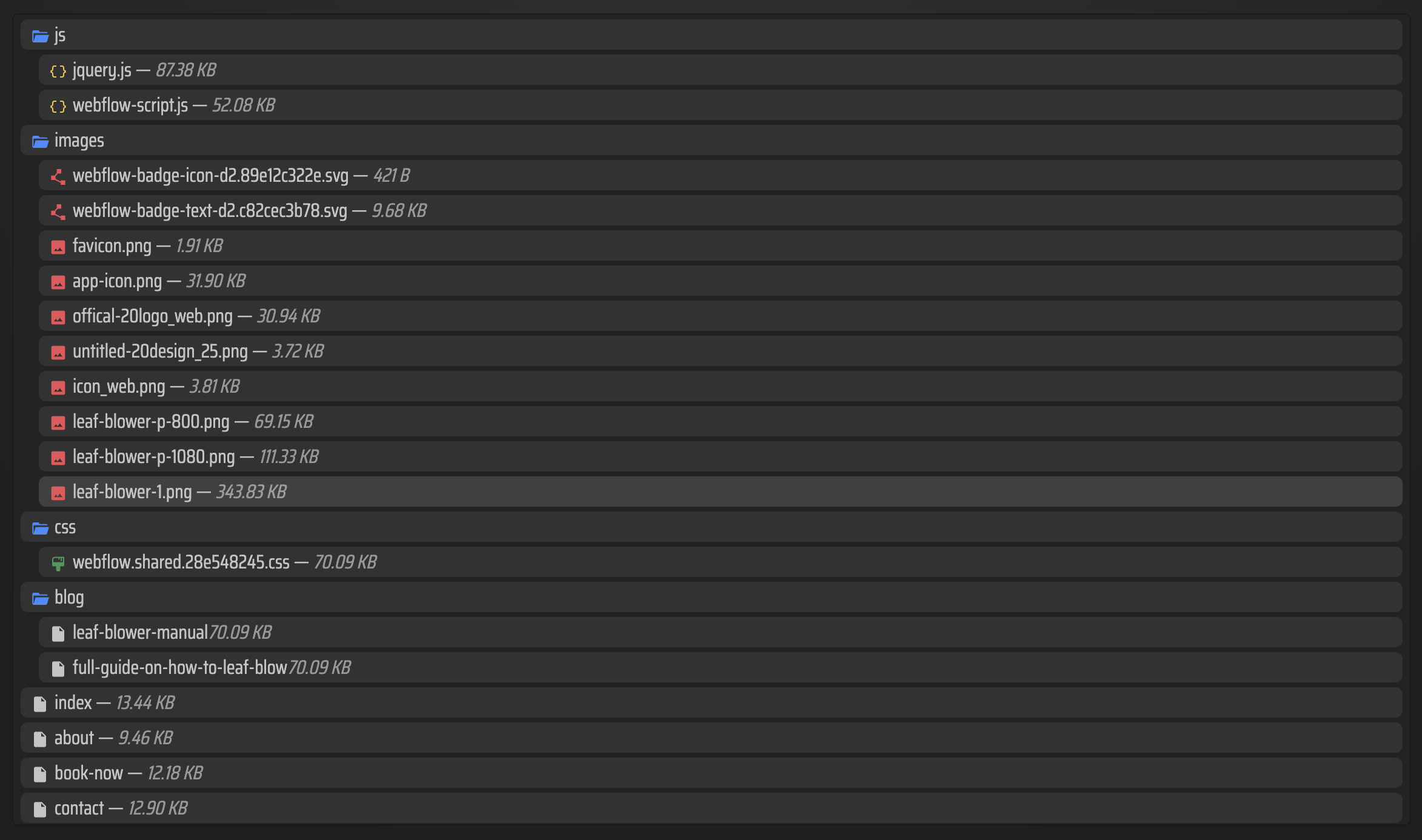 Exported Framer file list after a successful export